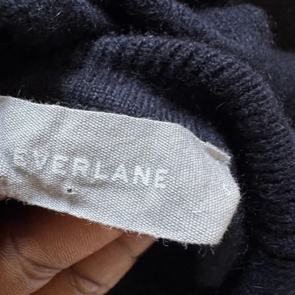 Everlane Cashmere Blue Turtleneck Sweater